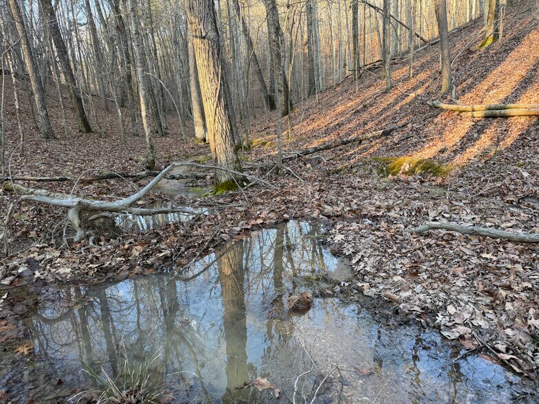 More Photos Of 260 Arnold Rd NE, Fairmount Land For Sale