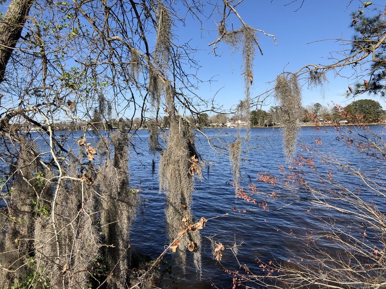 More Photos Of OFF ARCHBELL RD, Bath Land For Sale