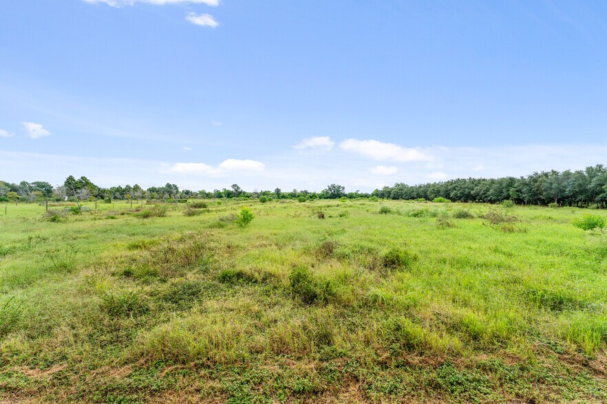 More Photos Of 23111 FM 1462 Rd, Damon Land For Sale