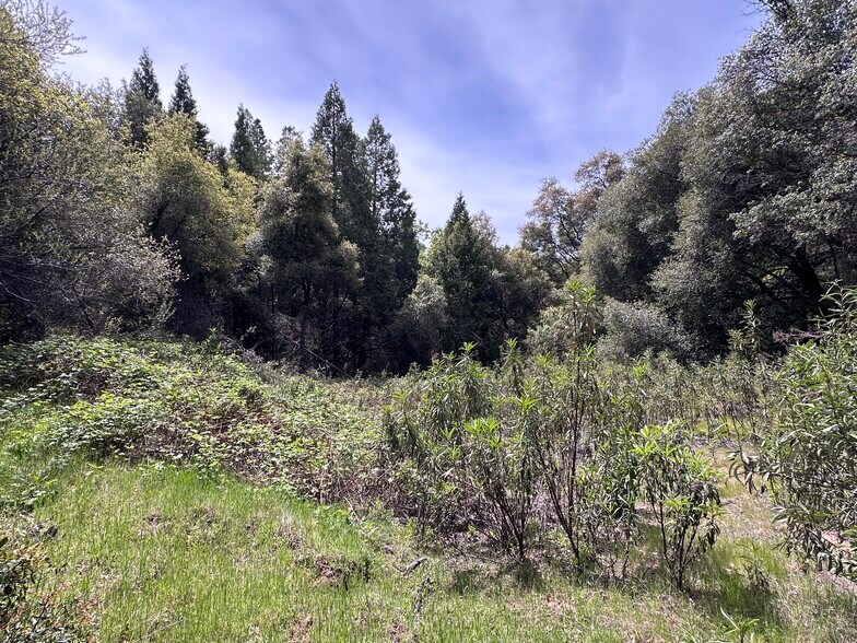 More Photos Of Hawk Haven Lane, Somerset Land For Sale