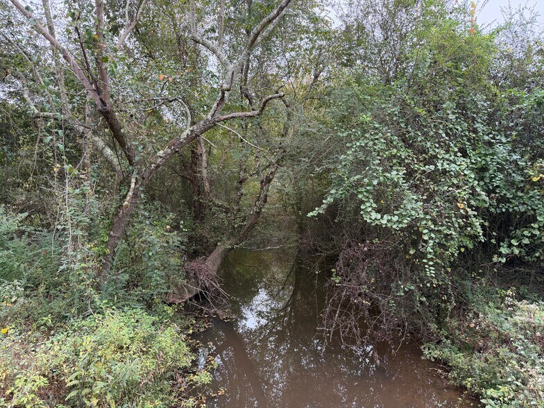 More Photos Of 0 County Road 60, Heflin Land For Sale