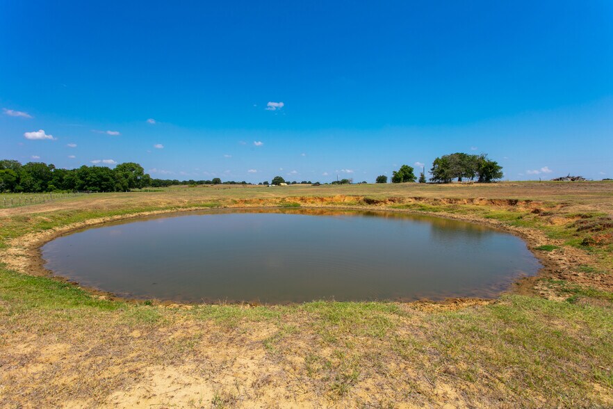 More Photos Of 2565 County Road 442, Thorndale Land For Sale