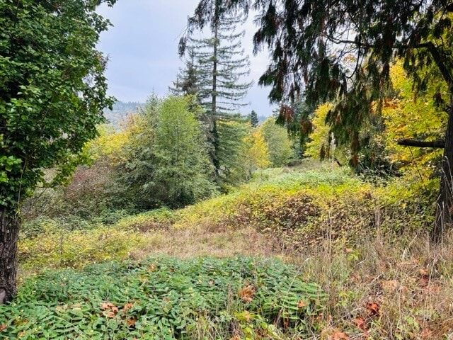 More Photos Of 2 W. Sherman Heights Road, Bremerton Land For Sale