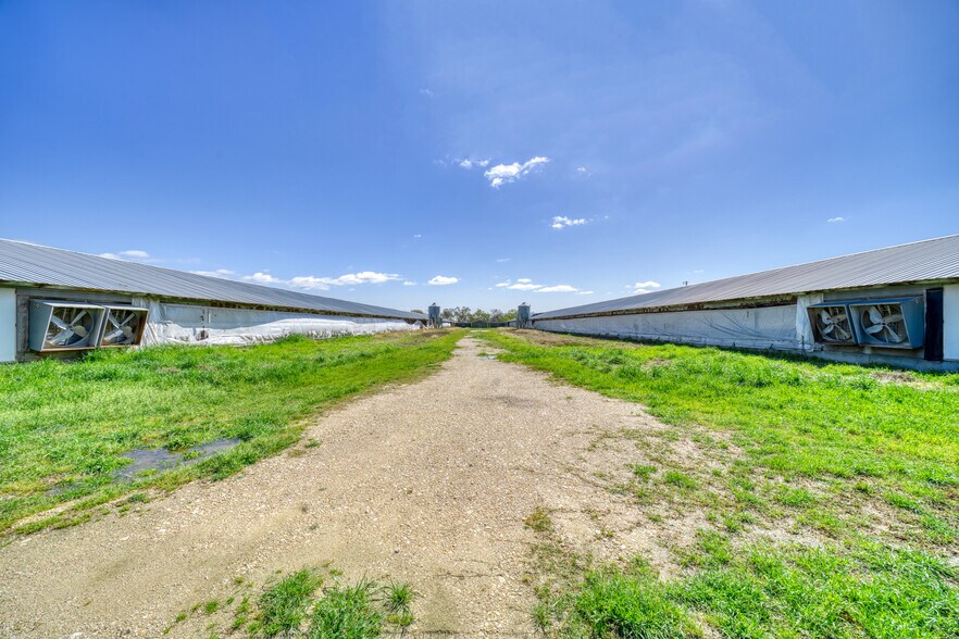 More Photos Of 8370 County Road 150, Somerville Land For Sale