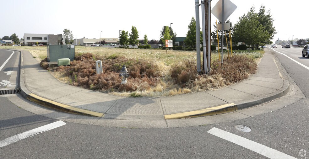 More Photos Of 174 W Ellendale Ave, Dallas Land For Sale