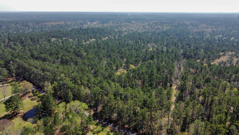 More Photos Of 4430 S FM 1486, Montgomery Land For Sale