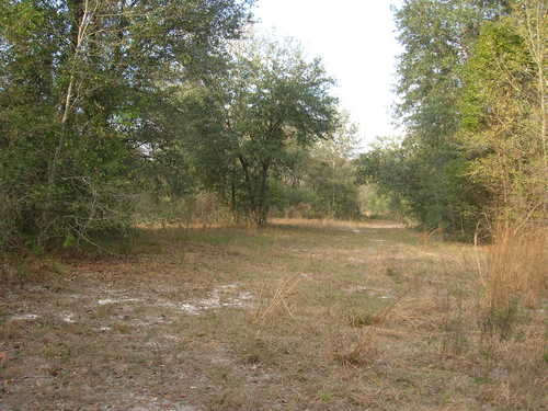 More Photos Of 4107 NE 255th Dr, Melrose Land For Sale