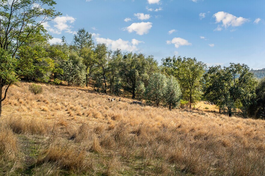 More Photos Of Chili Hill Road, Newcastle Land For Sale