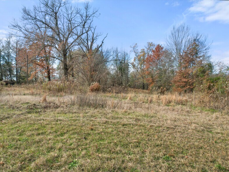 More Photos Of 1868 (TBD) US 259 S Hwy, Diana Land For Sale