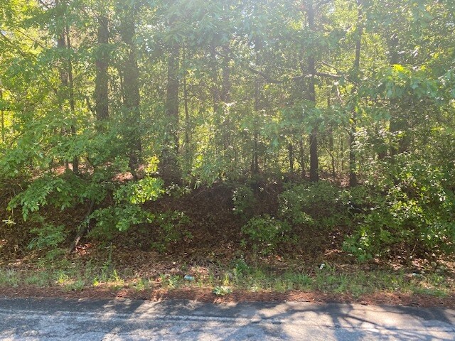 More Photos Of 0 Housers Mill Rd, Warner Robins Land For Lease
