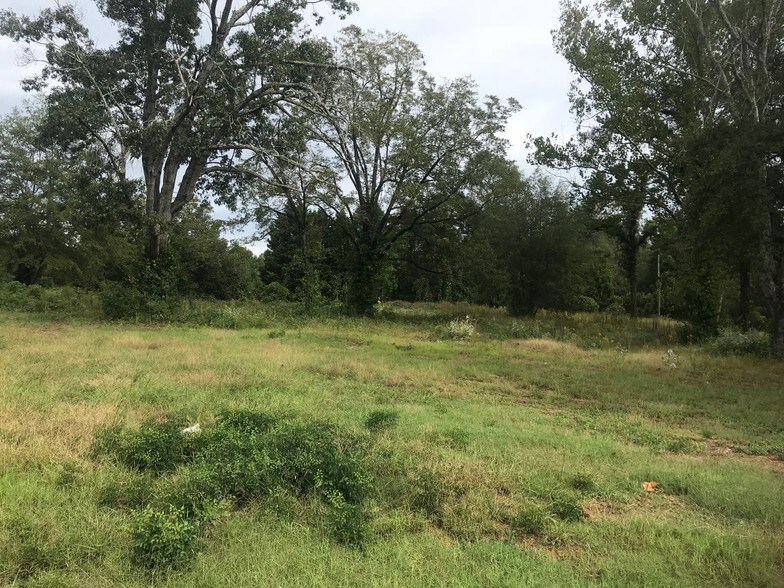 More Photos Of 3877 Hwy 17, Eastanollee Land For Sale