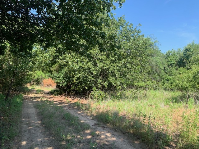 Primary Photo Of TBD Boyd Rd, Azle Land For Sale