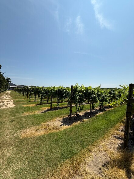 More Photos Of 221 N Delsea Dr, Cape May Court House Winery Vineyard For Sale
