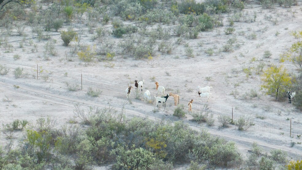 More Photos Of RD Ranch, Del Rio Land For Sale