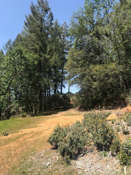 More Photos Of Canyon Creek Drive -1 @ Canyon Way, Colfax Land For Sale