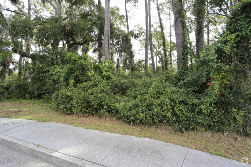 More Photos Of 10602 White Bluff Rd, Savannah Land For Sale