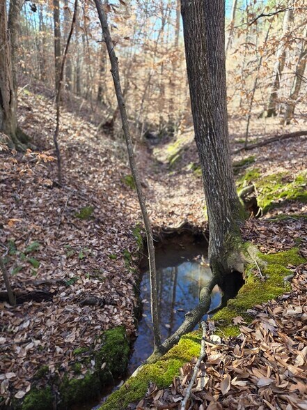 More Photos Of Hwy 109 N @ Cobb Street, Wadesboro Land For Sale