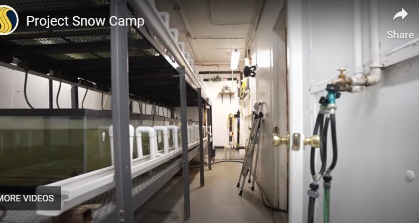 More Photos Of 2900 Quakenbush Rd, Snow Camp Specialty For Sale