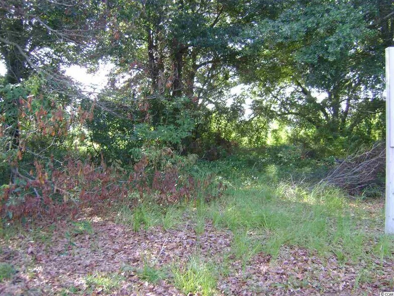 More Photos Of Wall St., Pawleys Island Land For Sale