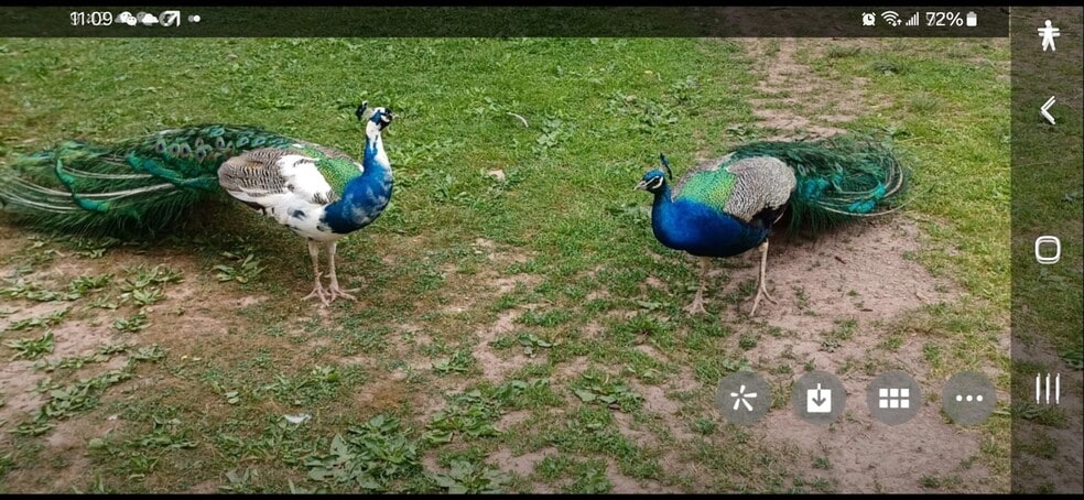 More Photos Of , Catskill Unknown For Sale