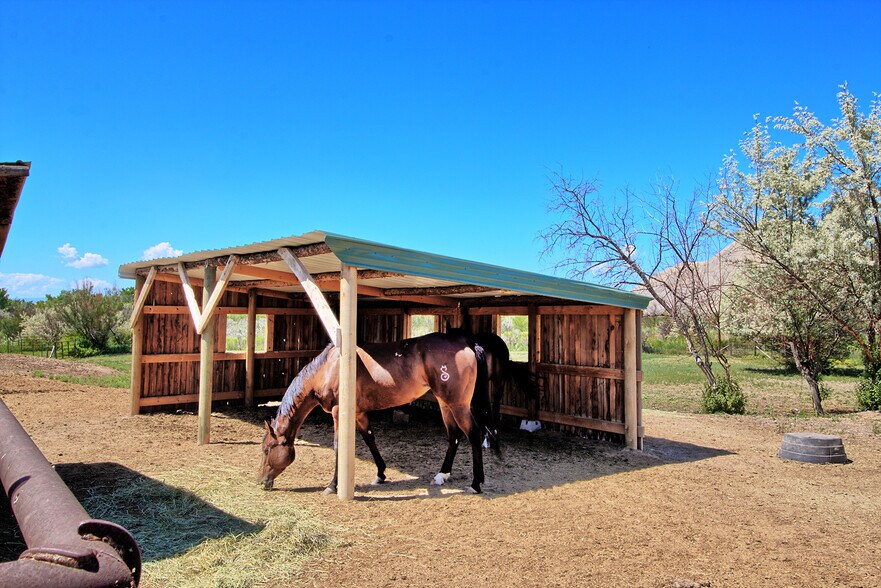 More Photos Of 10341 Tongue Creek Rd, Orchard City Land For Sale