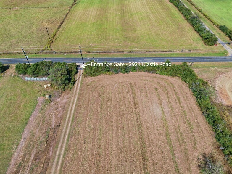 More Photos Of 29211 Castle Rd, Waller Specialty For Sale