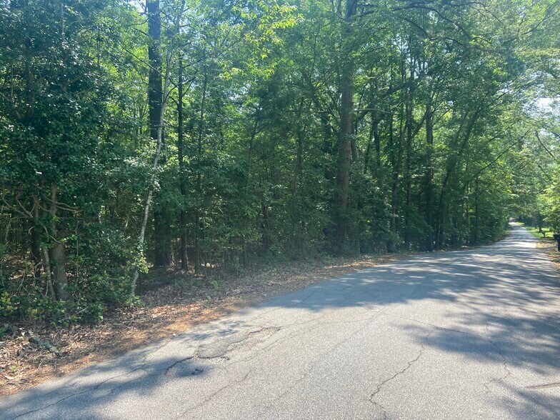 More Photos Of Terry Shop Rd, Fountain Inn Land For Sale