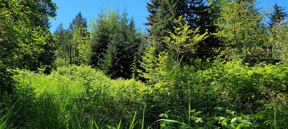 More Photos Of 825 99th Ave SE, Lake Stevens Land For Sale