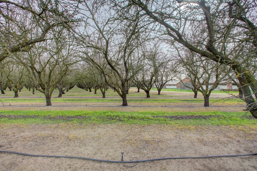 More Photos Of 13120 S Highway 99, Manteca Land For Sale