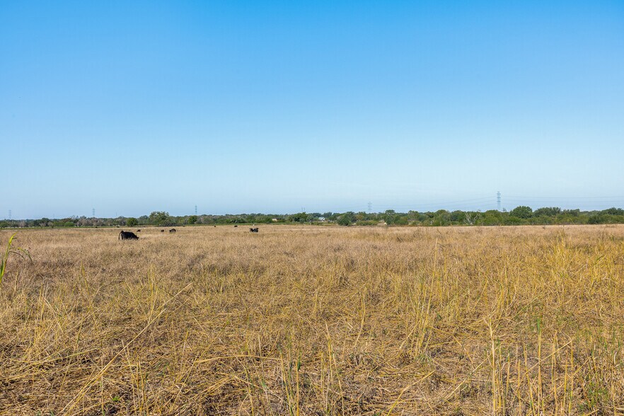 More Photos Of TX 80, Martindale Land For Sale