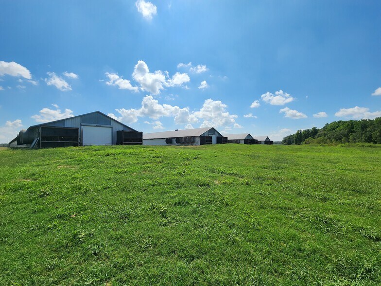 More Photos Of 594 Daffodil Ln, Pitts Land For Sale