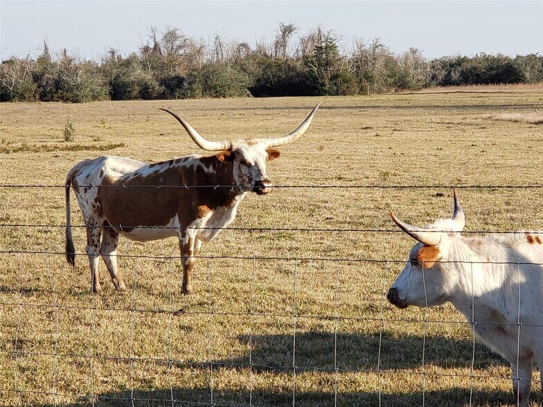 More Photos Of FM 2004 @ Avenue C, Hitchcock Land For Sale