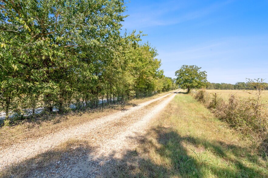 More Photos Of 5501 Old Colony Line Rd, Lockhart Land For Sale