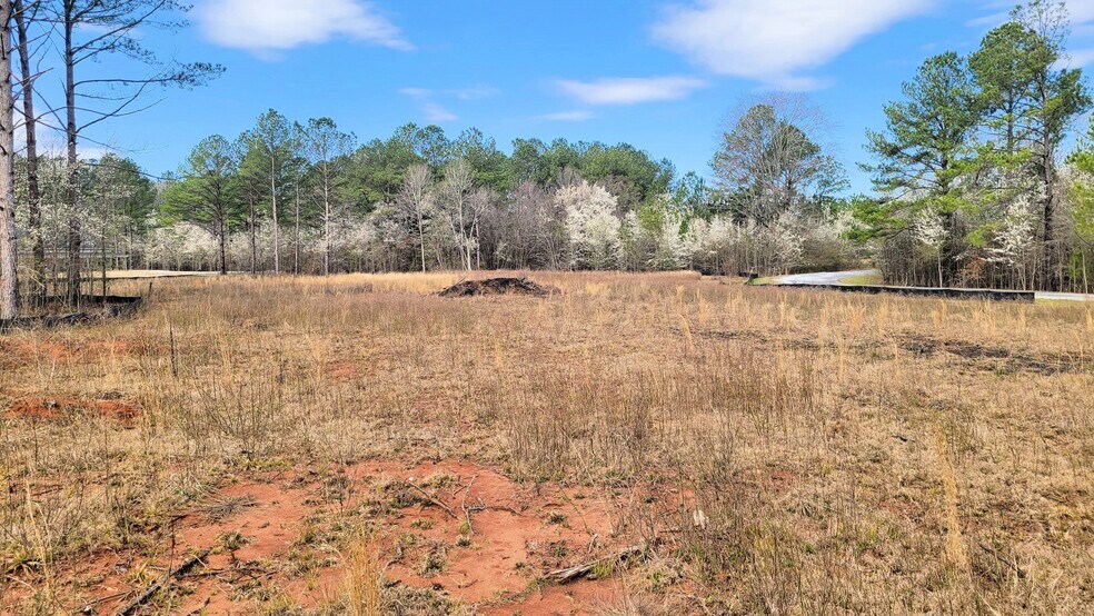 More Photos Of 1019 Chancellors Ferry Loop, Harpersville Land For Sale