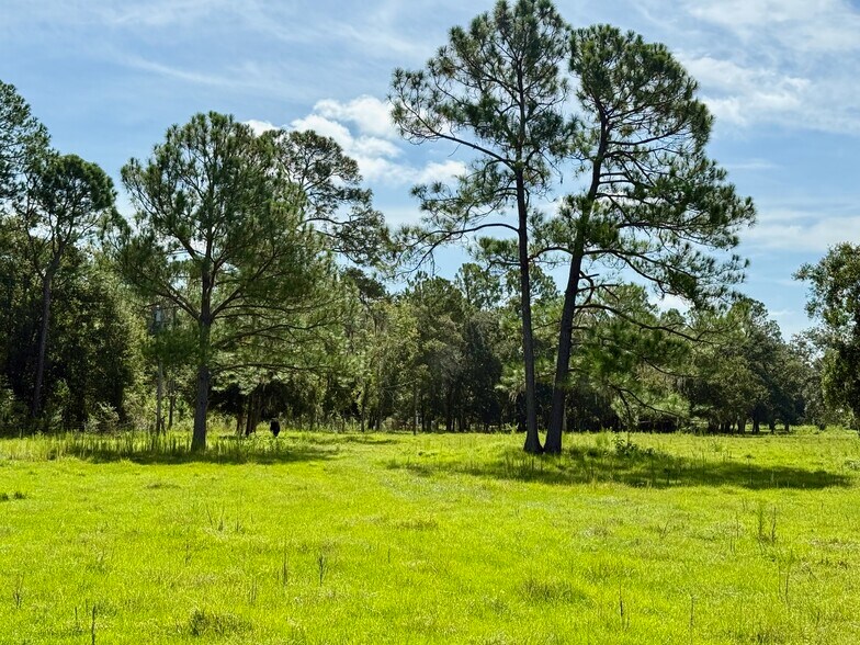 More Photos Of 10460 Ehren Cutoff, Land O' Lakes Land For Sale