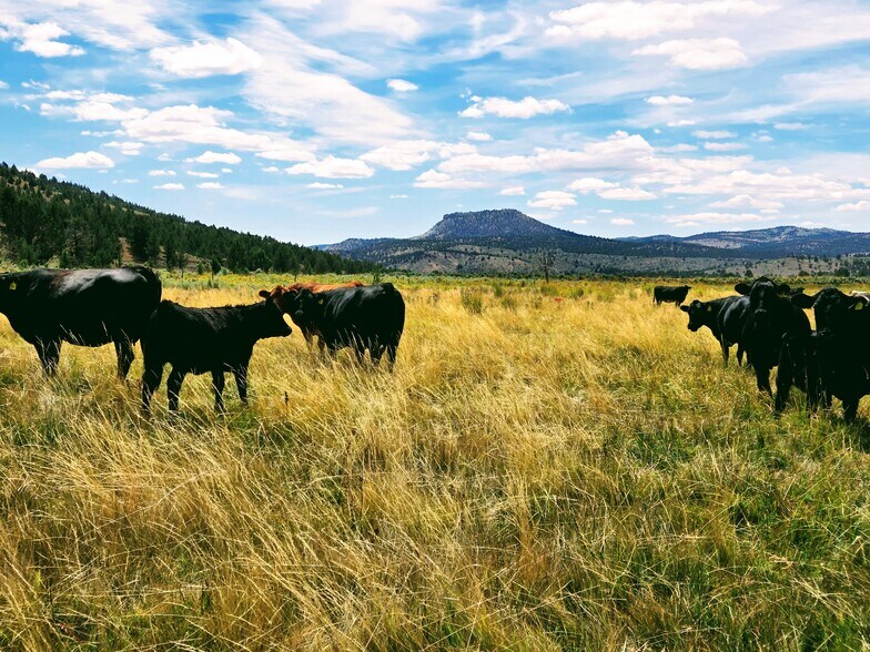 More Photos Of 32611 Tackman Rd, Prineville Land For Sale