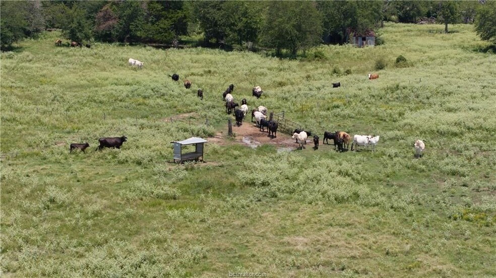 More Photos Of TBD FM 974, Bryan Land For Sale