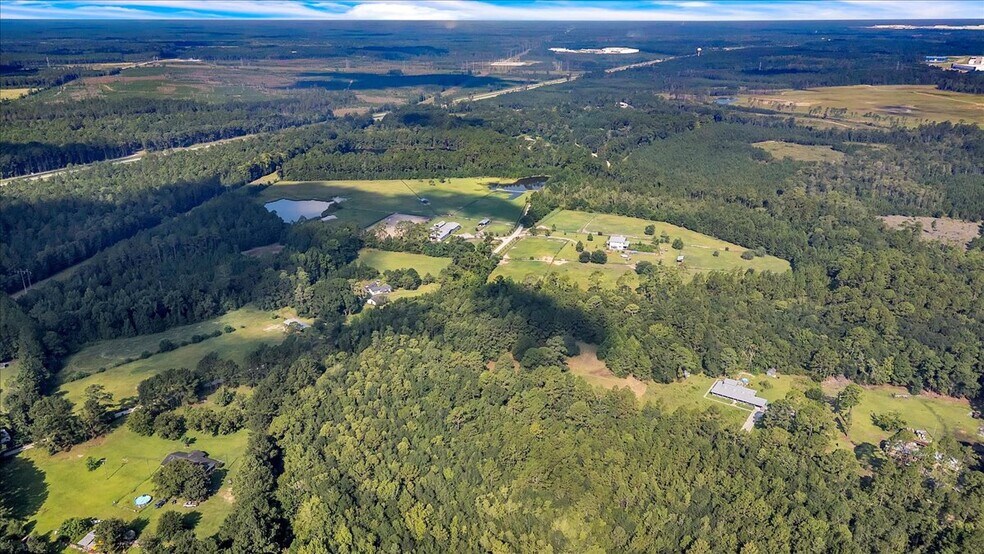 More Photos Of 1075 Osteen Rd, Bloomingdale Land For Sale