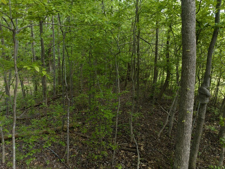 More Photos Of 899 W Mills Street, Columbus Land For Sale