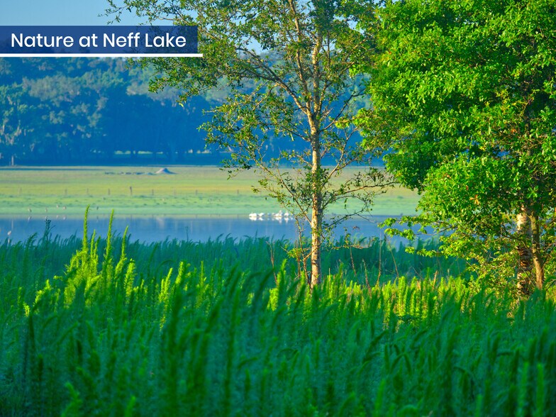 More Photos Of 3267 Neff Lake Rd, Brooksville Land For Sale
