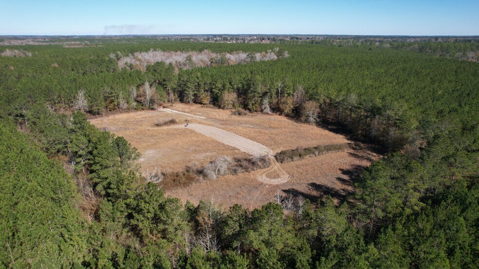 More Photos Of 17675 Cedar Springs Rd, Blakely Land For Sale