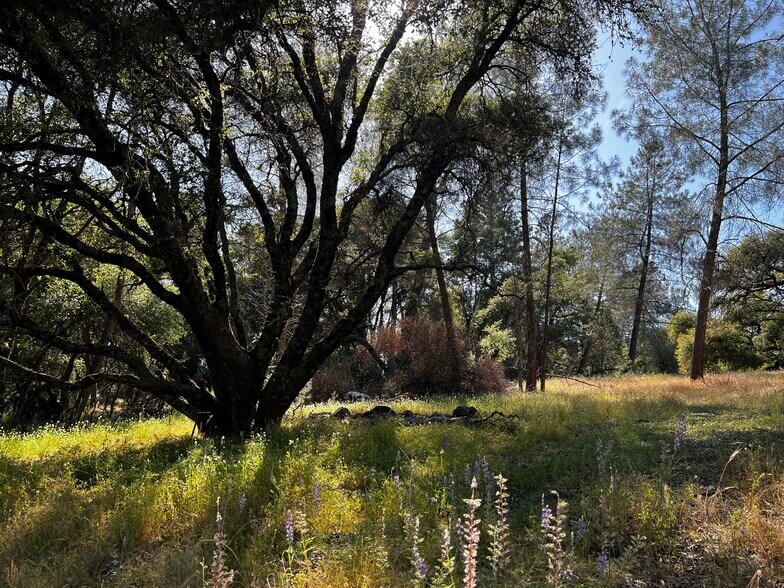 More Photos Of 7060 La Mesa Ln, Somerset Land For Sale