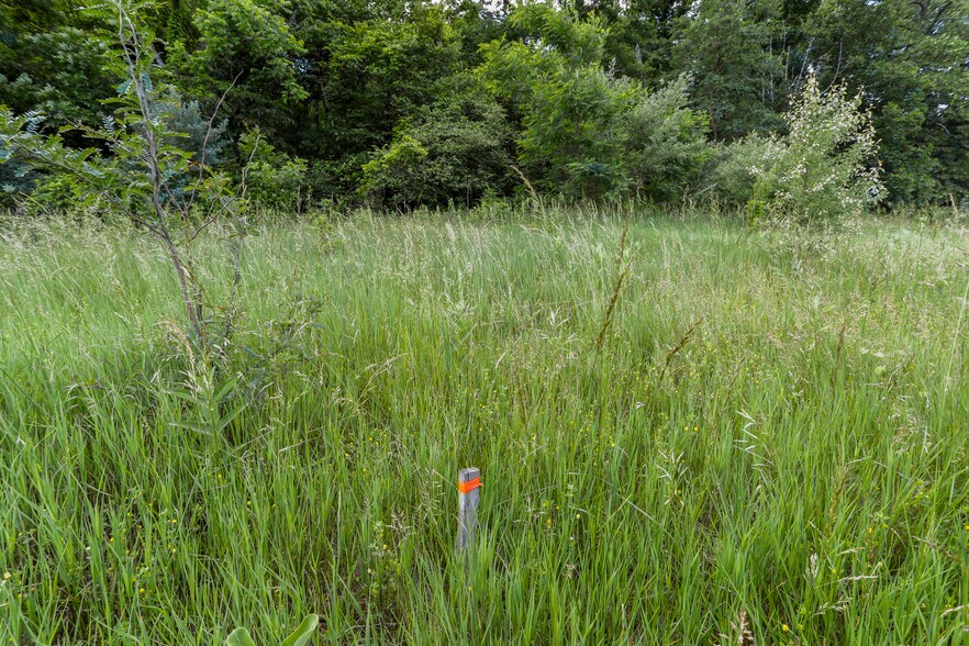 More Photos Of 3648 Dominion Rd, Gerrardstown Land For Sale