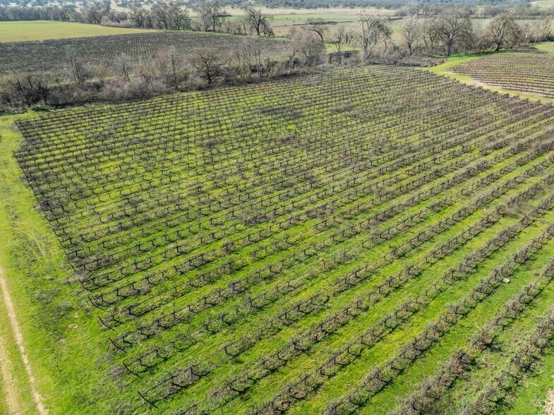 More Photos Of 3900 Jackson Valley Rd, Ione Land For Sale