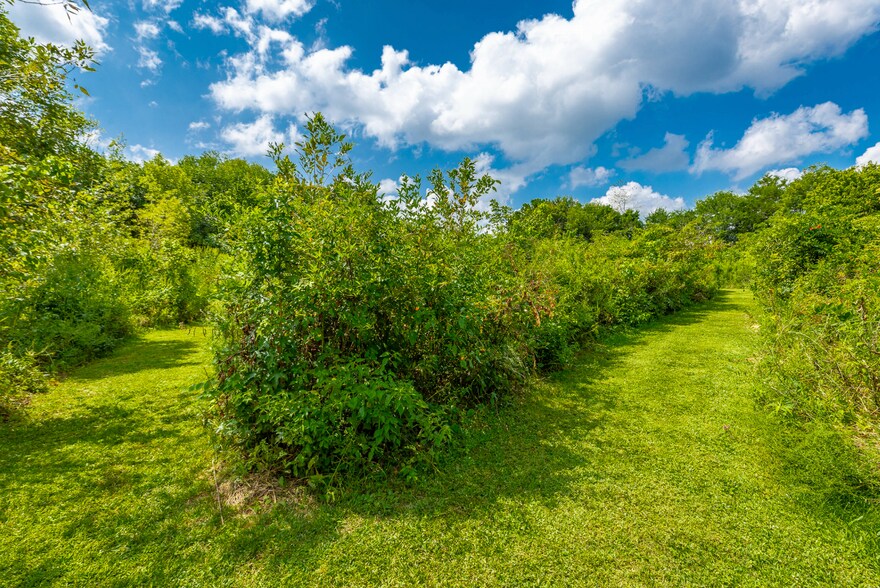 More Photos Of 40 Blessed Way, Rock Spring Land For Sale