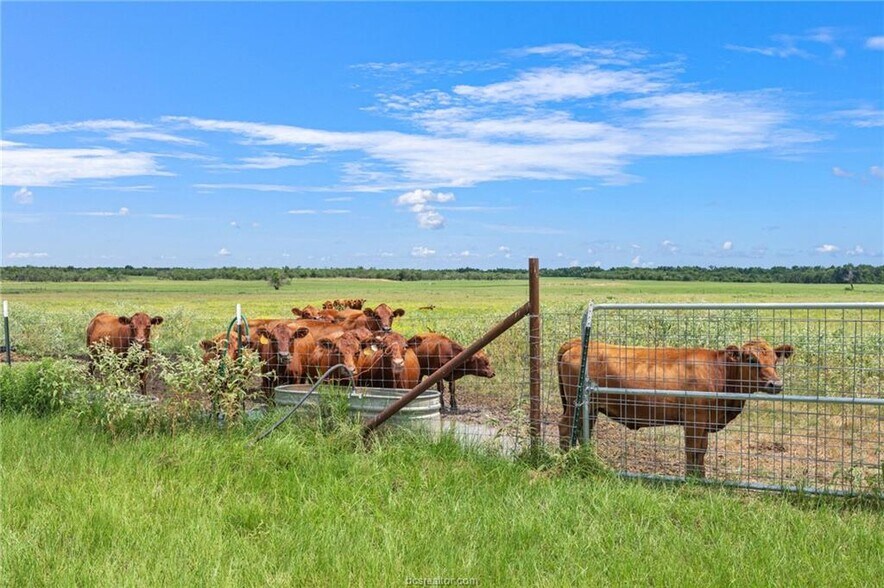 More Photos Of 2970 County Road 270, Cameron Land For Sale