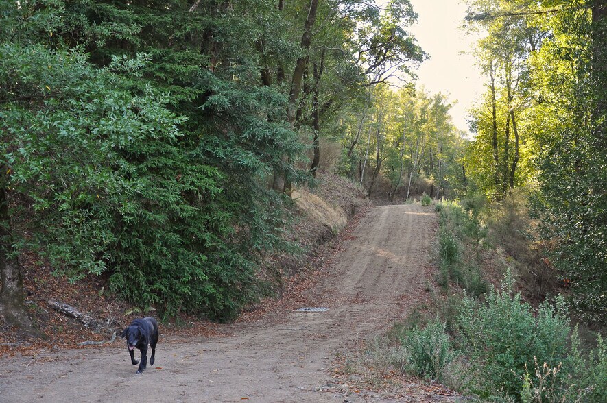 More Photos Of 128 Ridgecrest Road, Kentfield Land For Sale