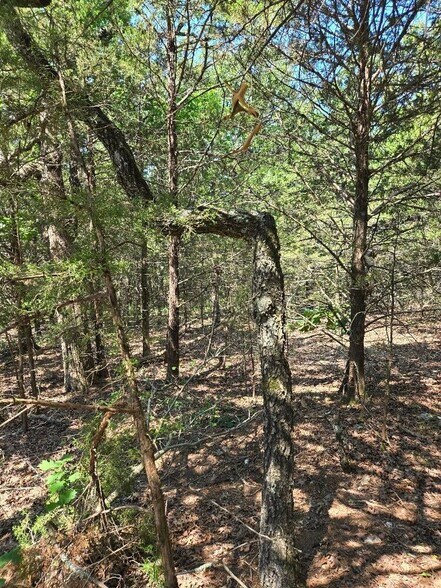 More Photos Of 20765 State Highway 42, Belle Land For Sale