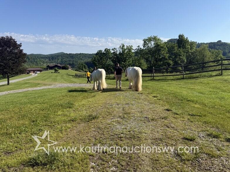 More Photos Of 290 Stonecoal rd, Horner Land For Sale