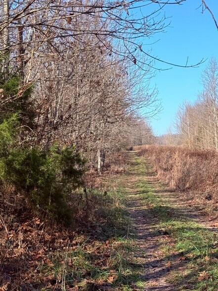 More Photos Of 4604 Summersville Rd, Campbellsville Land For Sale